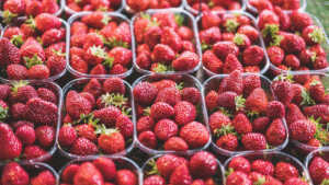 Camas Farmers Market